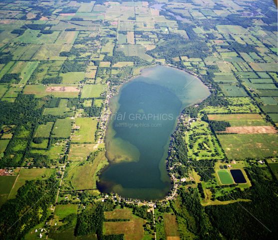 Duck in Calhoun County, Michigan