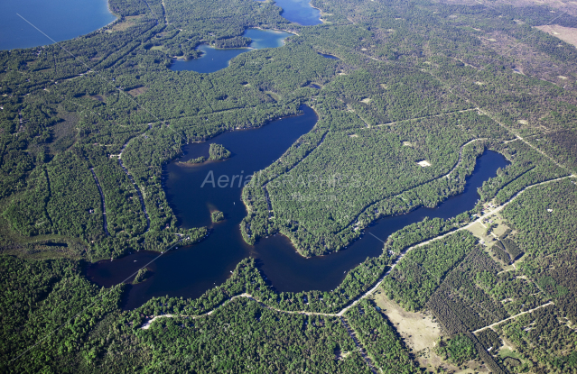 Tee Lake in Oscoda County, Michigan